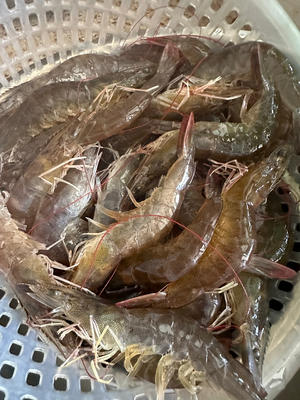 紫苏焖虾