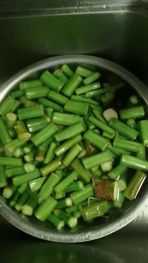 霉苋菜梗