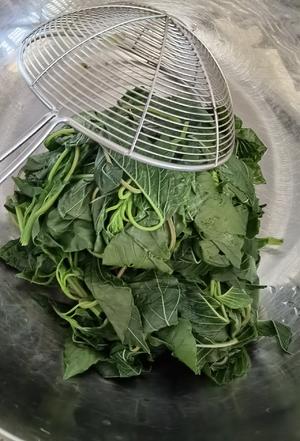 野苋菜素饺子?