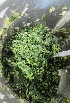 野苋菜素饺子?