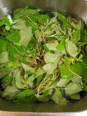 营养丰富的苋菜鸡蛋汤