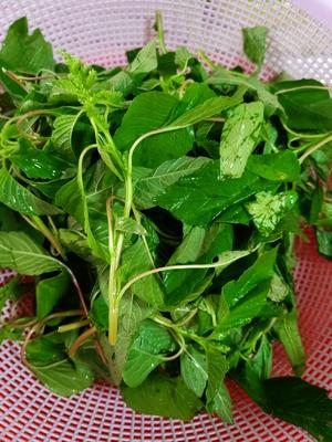 营养丰富的苋菜鸡蛋汤