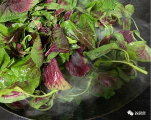 清炒红苋菜（简单菜也有窍门，一看就明白）