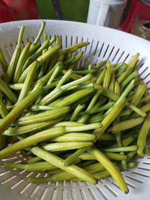 凉拌鲜黄花菜