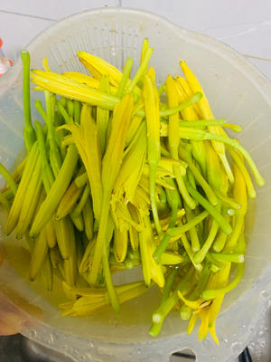 鲜炒黄花菜，太好吃了吧