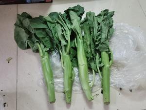 变废为宝4～大芥兰叶子