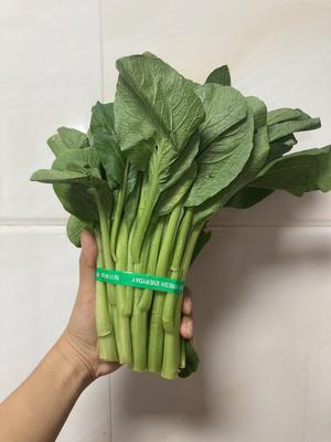 广东白灼菜心