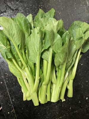 广东白灼菜心