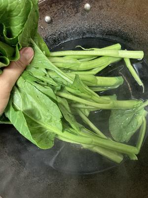 广东白灼菜心