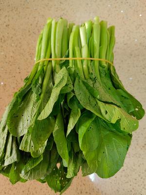 鲜嫩爽脆的蚝油菜心