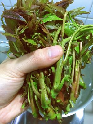 超下饭香椿酱