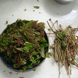 好吃下饭的香椿辣椒酱