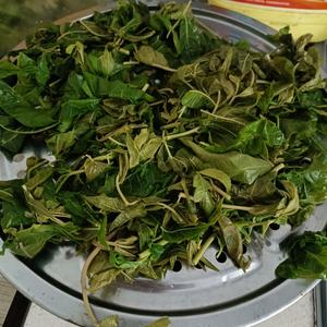 好吃下饭的香椿辣椒酱