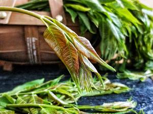 家常菜～凉拌香椿