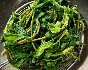 家常菜～凉拌香椿