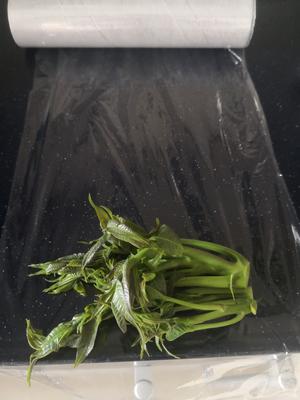 香椿的存放方法