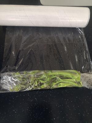香椿的存放方法