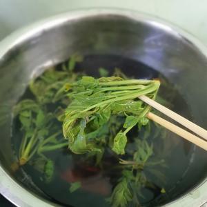 香椿炒蛋超级无敌香