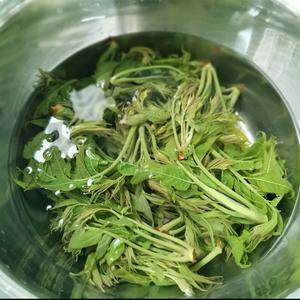 香椿炒蛋超级无敌香