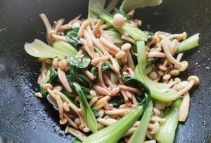 油菜炒蘑菇