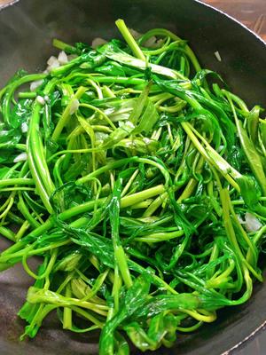百吃不厌的蒜蓉空心菜