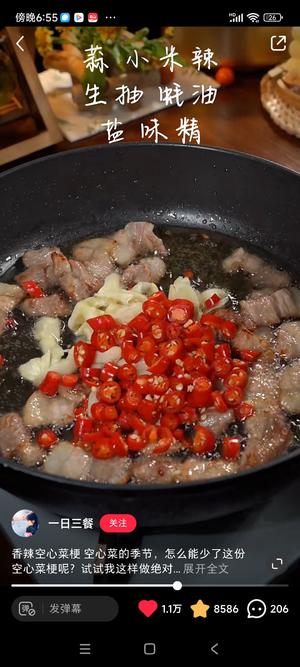 肉炒空心菜