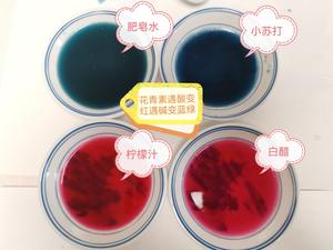 消耗紫甘蓝的N种方法