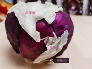 消耗紫甘蓝的N种方法