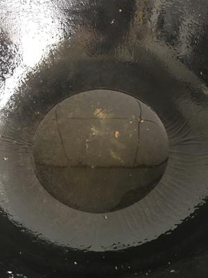 不变色的紫甘蓝炒鸡蛋