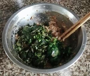 菜肉大馄饨馅（莴笋叶+青菜）
