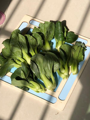 上海青酸菜炒肉末太费米饭了｜做法简单