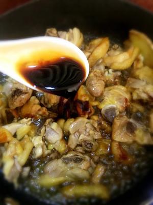 菱角系列之--鸡肉焖莲角