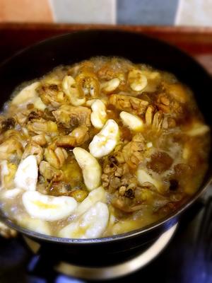 菱角系列之--鸡肉焖莲角