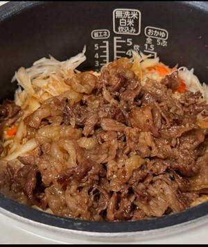 双倍牛肉牛蒡什锦饭🍚
