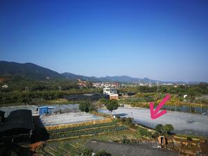虾仁炒马蹄