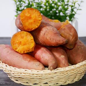 【糯唧唧的烤红薯】糖油四溢皮肉分离外糯里嫩吸溜着吃！