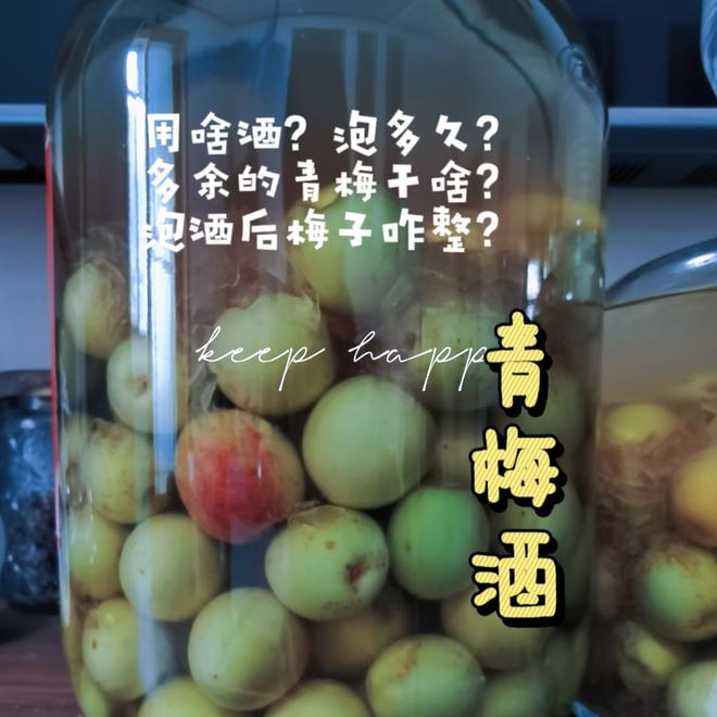 泡青梅酒的五年