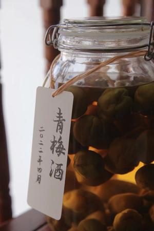 泡青梅酒的五年