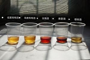 泡青梅酒的五年