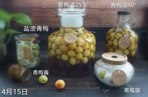 泡青梅酒的五年