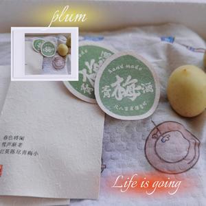 泡青梅酒的五年