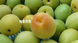 泡青梅酒的五年
