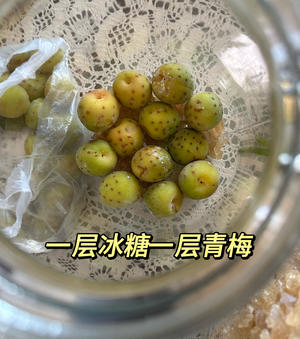 不用发酵的青梅露