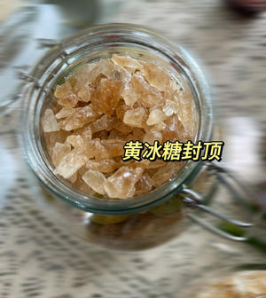 不用发酵的青梅露