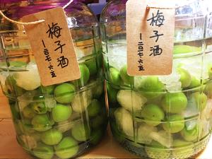 自酿超好喝的青梅酒/梅子酒