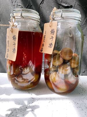 自酿超好喝的青梅酒/梅子酒