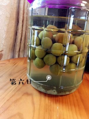 自酿超好喝的青梅酒/梅子酒