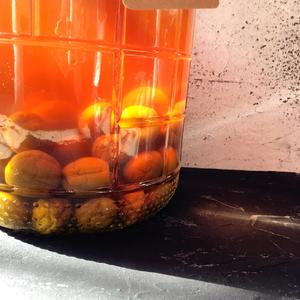 自酿超好喝的青梅酒/梅子酒