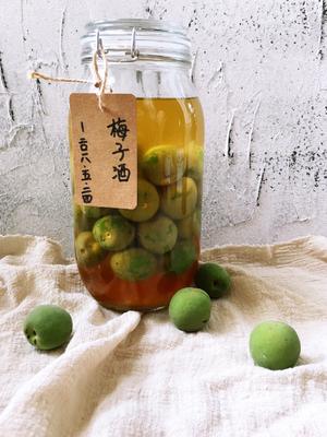 自酿超好喝的青梅酒/梅子酒