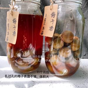 自酿超好喝的青梅酒/梅子酒